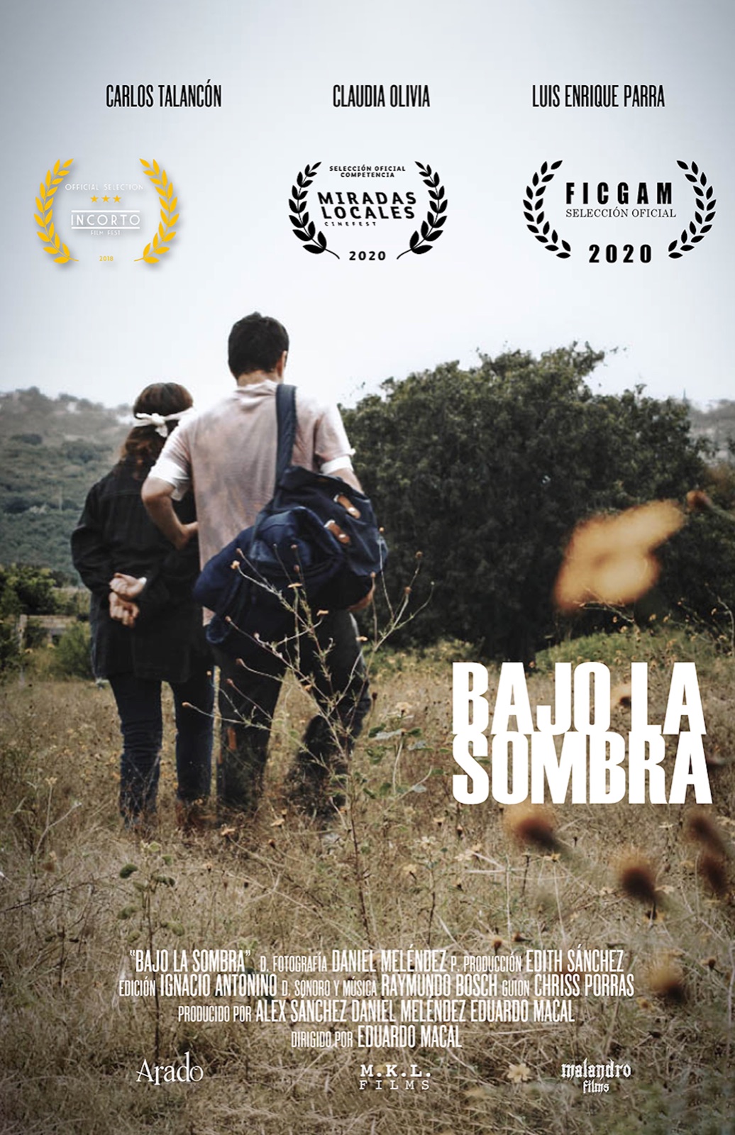 Cartel de Bajo la sombra