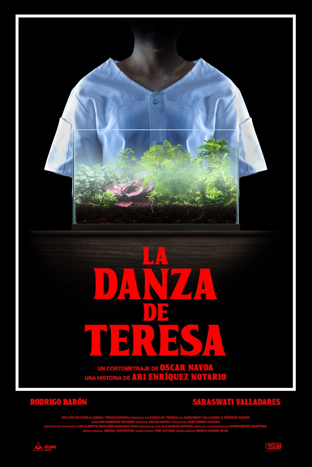 Cartel de La Danza de Teresa