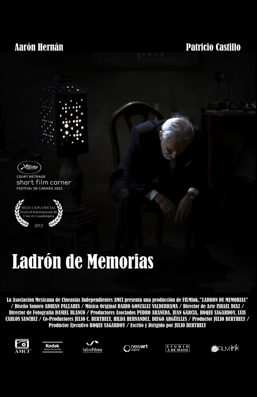 Cartel de Ladrón de memorias