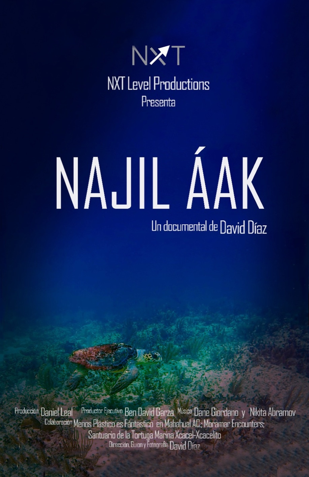Cartel de NAJIL AAK. La Casa de la Tortuga