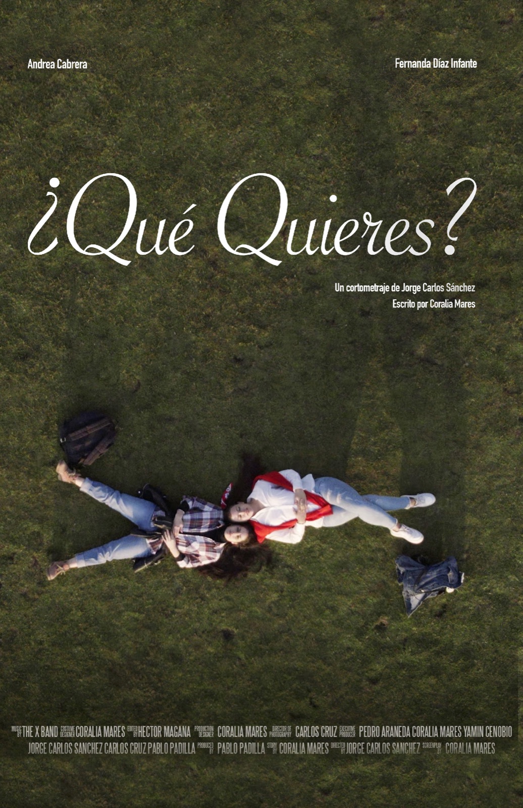Cartel de ¿Qué quieres?
