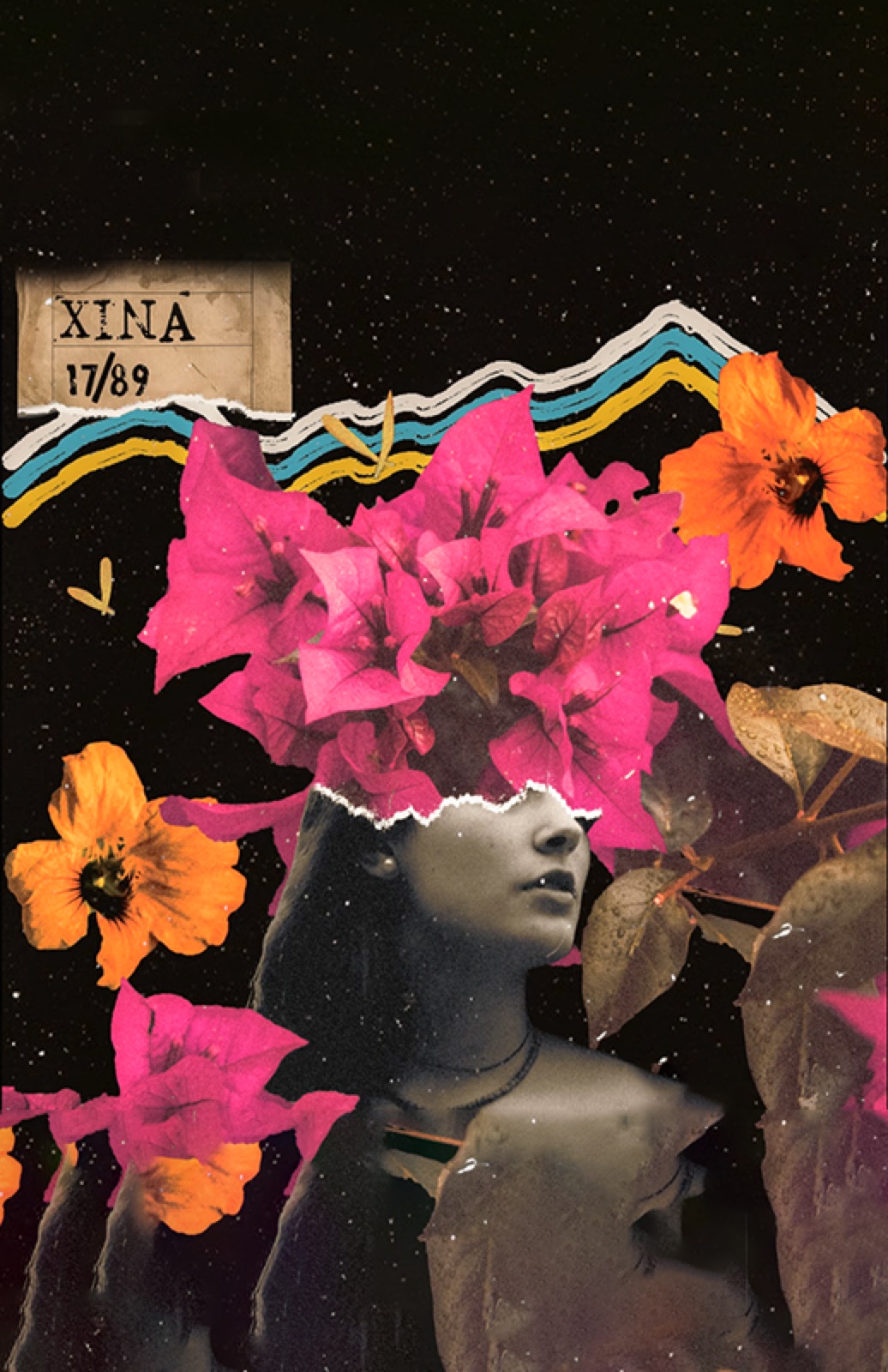 Cartel de Xina